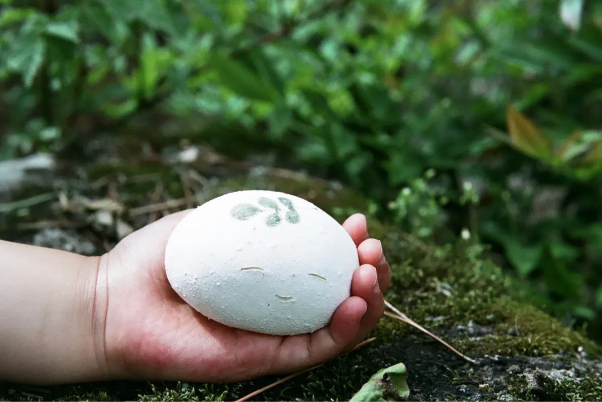 まるまるころん_image